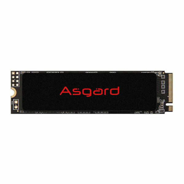 Asgard AN2 2280 NVMe 250GB M.2 SSD